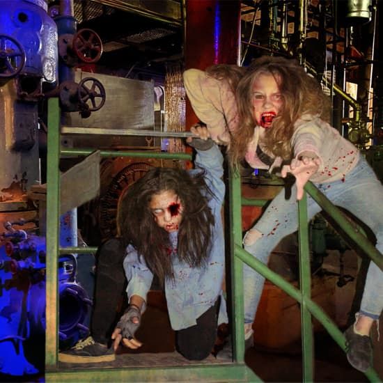 The Slaughterhouse
