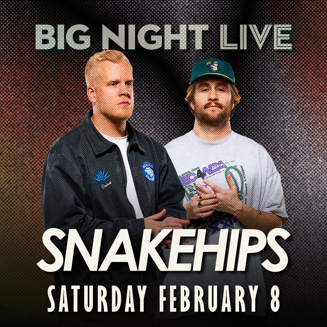 Snakehips at Big Night Live