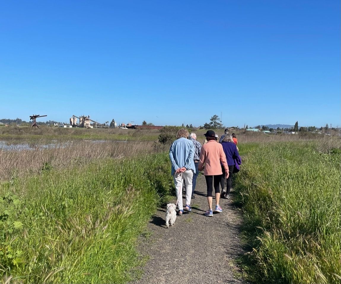 Petaluma River Park Walk | Caminata por el Petaluma River Park