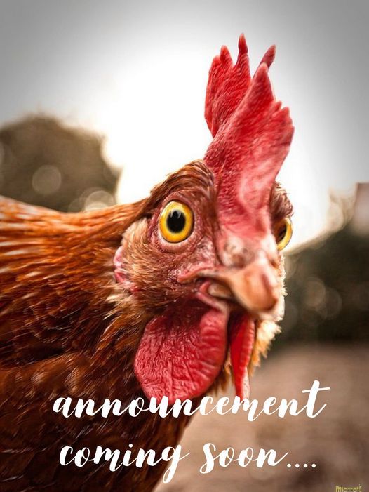 Central Alberta Critter and Craft Sale- Fall 2021