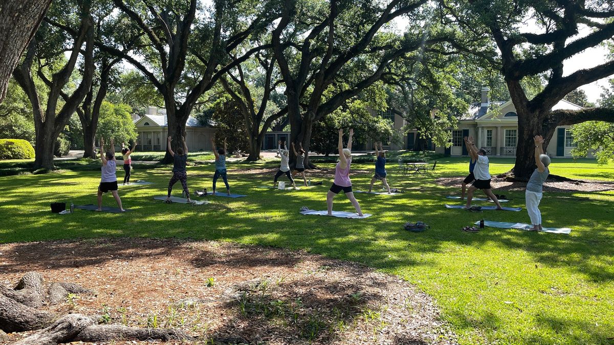 Yoga With a Vue 