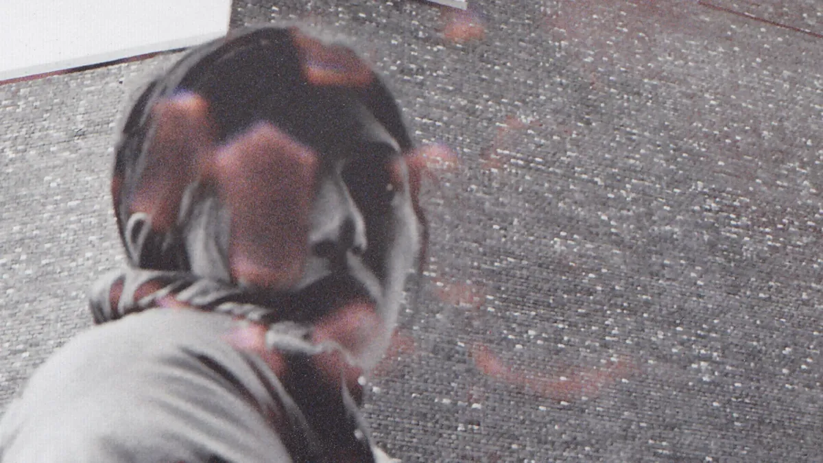 Aldous Harding in Wellington