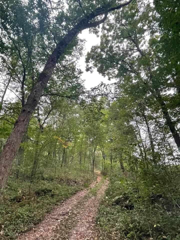 Natural Path Sanctuary Walking Tour 