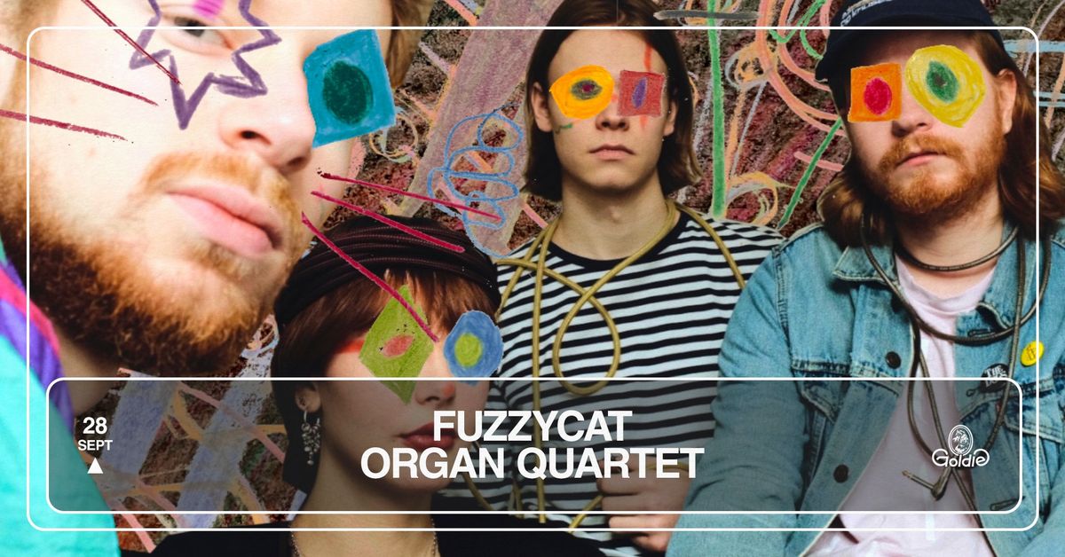 Fuzzycat Organ Quartet \u2022 Goldie