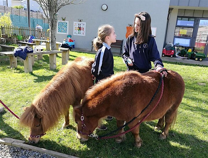 Wellbeing through Horses- Seminar, Festina Lente, Bray, 8 April 2024