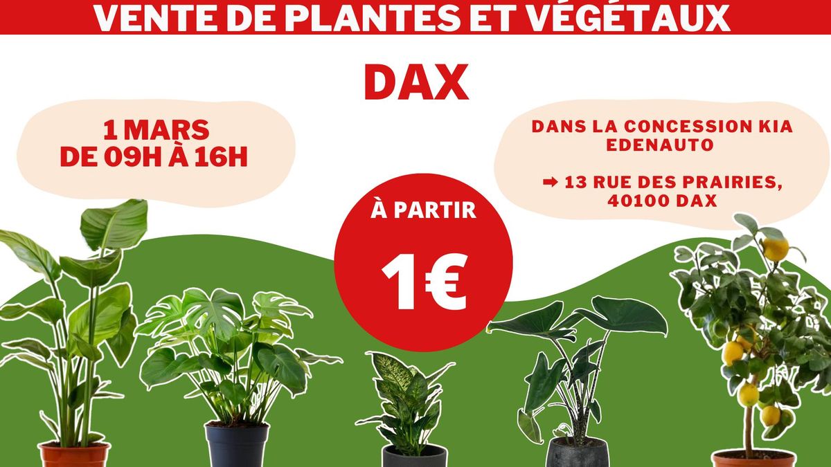 DAX - V\u00e9g\u00e9taux et Plantes \u00e0 partir de 1\u20ac by Plantes Addict