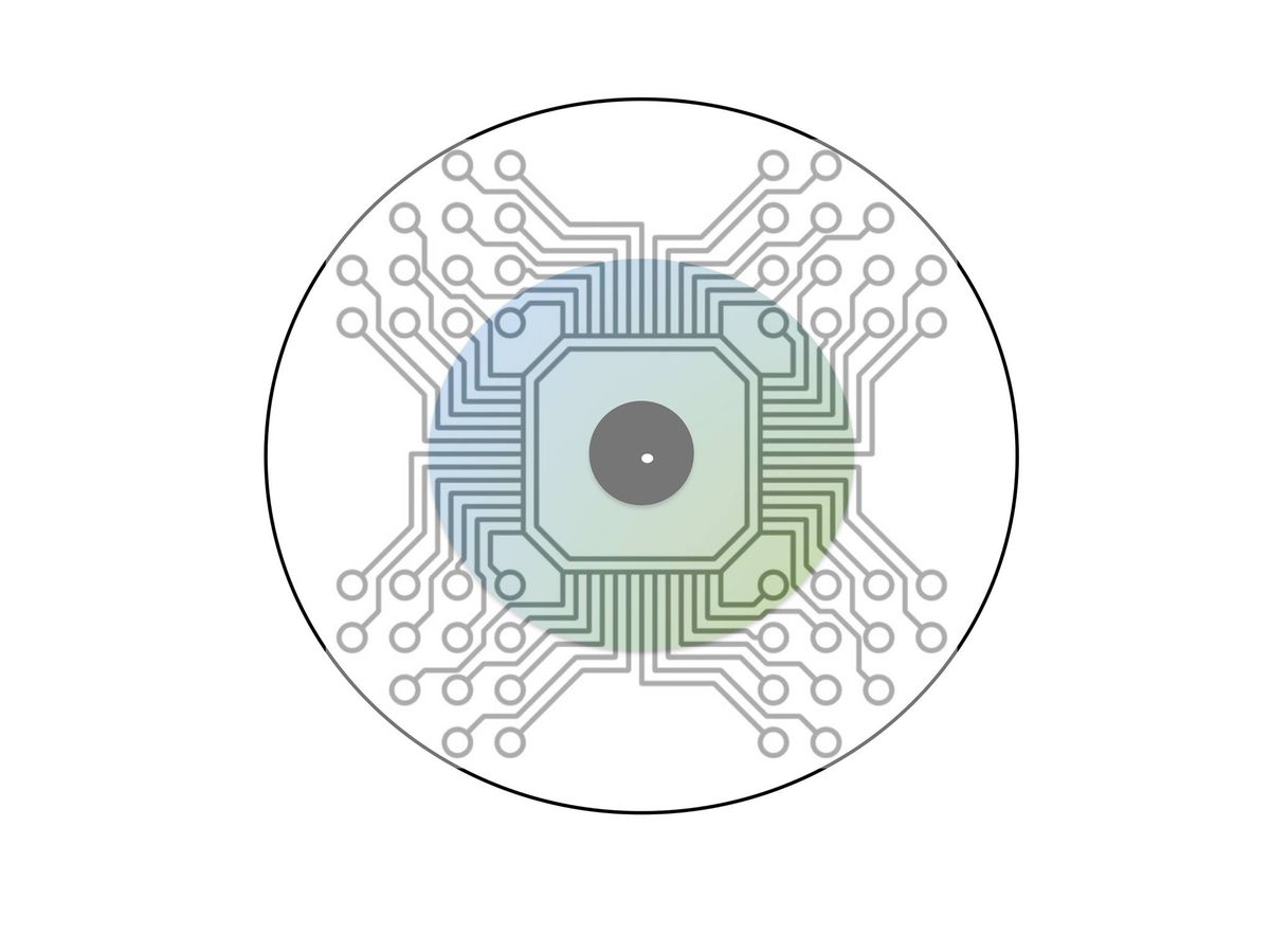 Artificial Vision 2024 - The International Symposium on Visual Neuroprosthetics