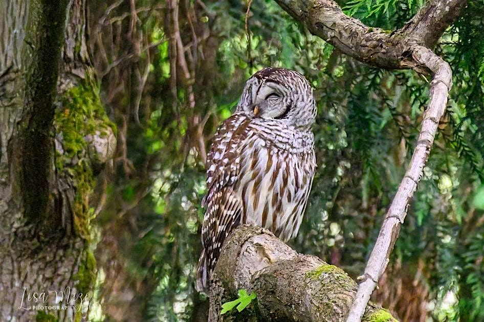 Free Discovery Park Photography Walk: Saturday, January 24th 9:00am-11:00am
