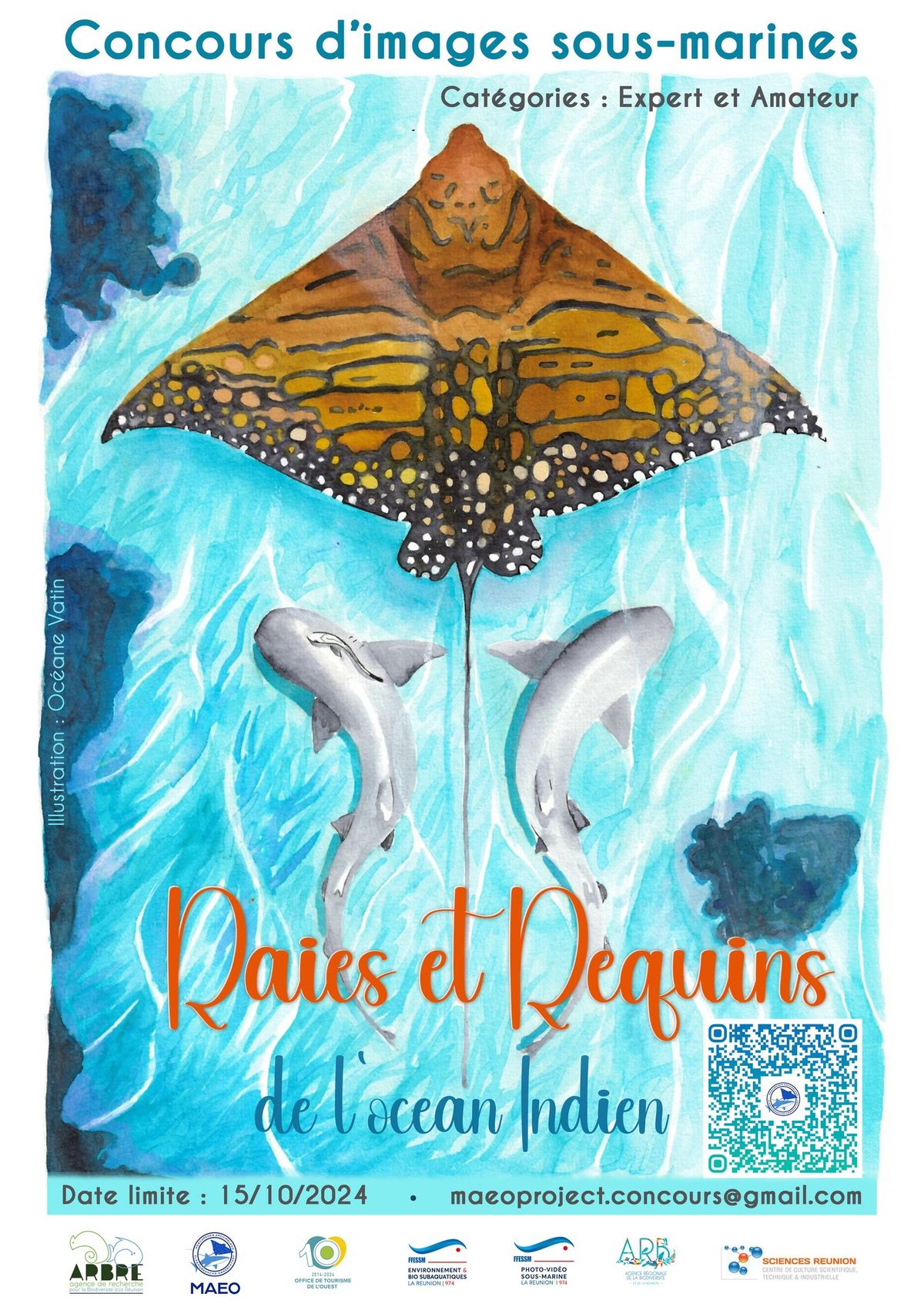 Remise des prix du concours d\u2019images sous-marines r\u00e9gional sur le th\u00e8me des "Raies & Requins"