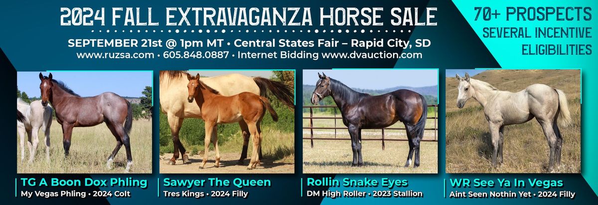 Ruzsa Quarter Horses 2024 Fall Extravaganza Horse Sale