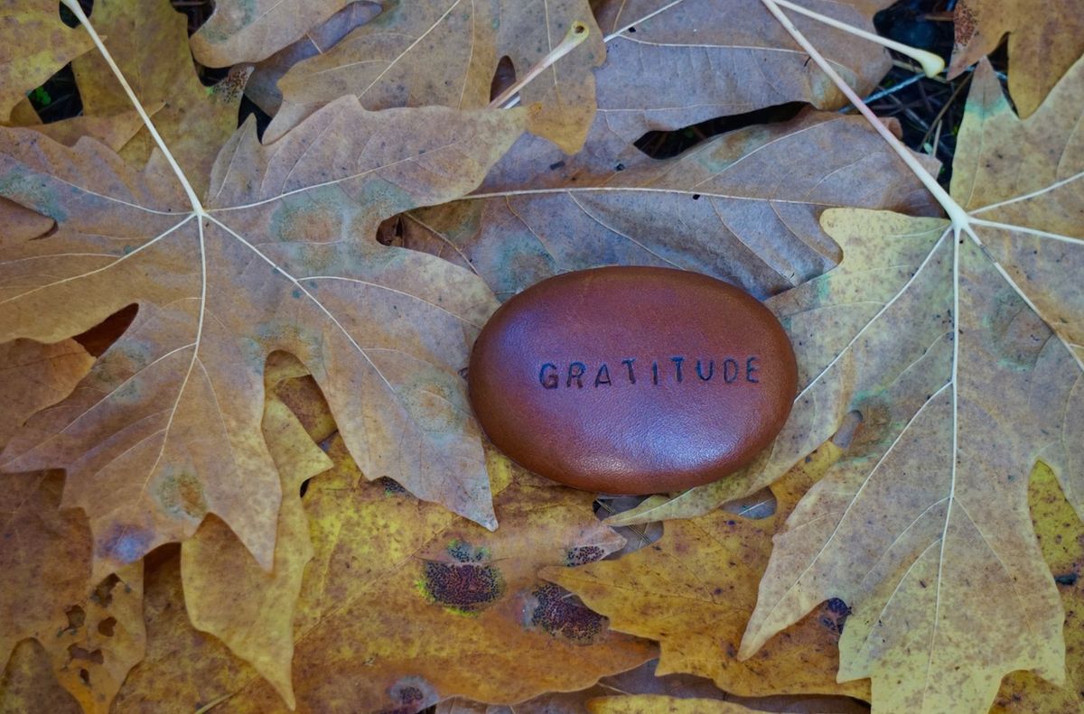 The Nature of Gratitude