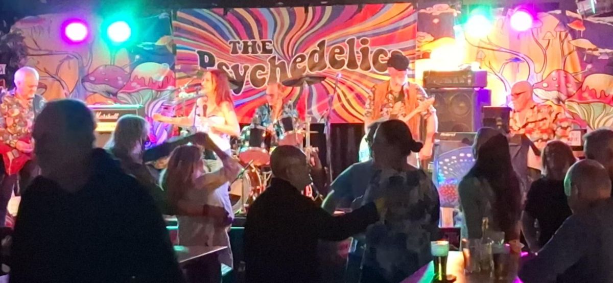 The Psychedelics at Oatley Hotel