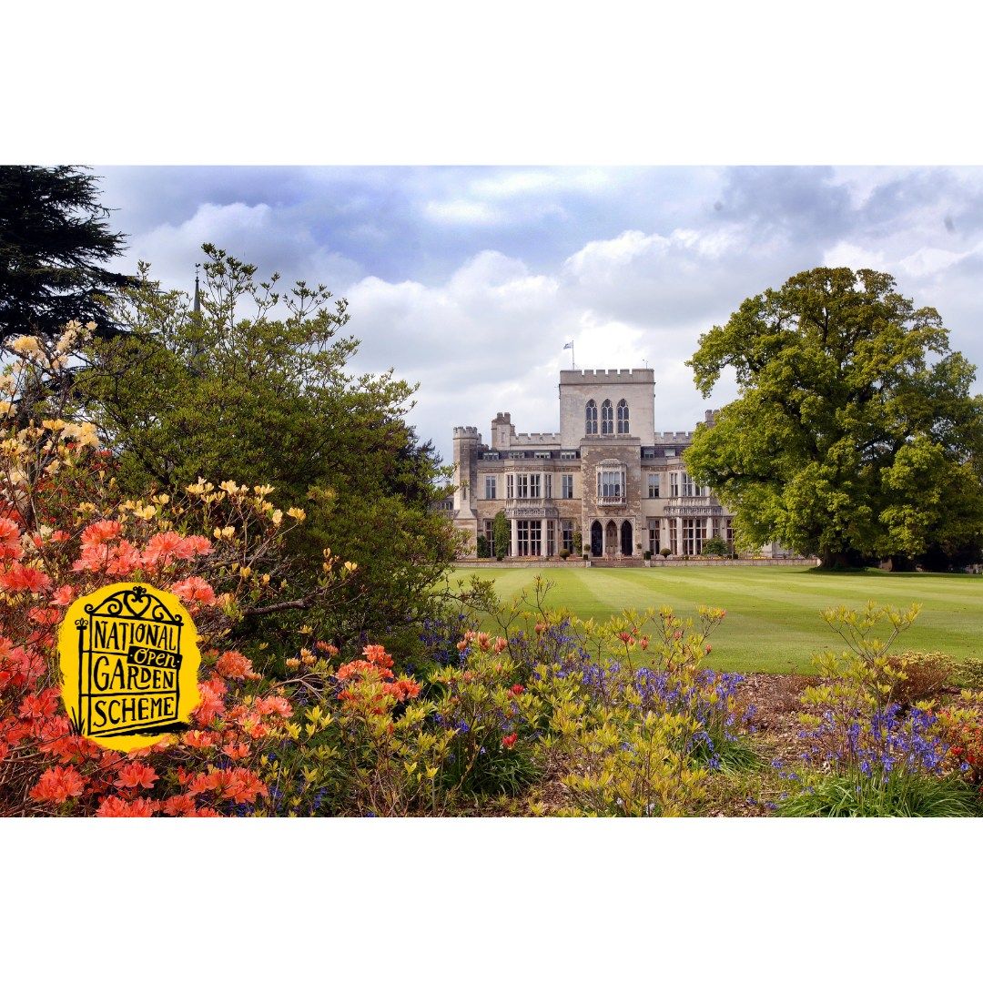 National Garden Scheme Open Day