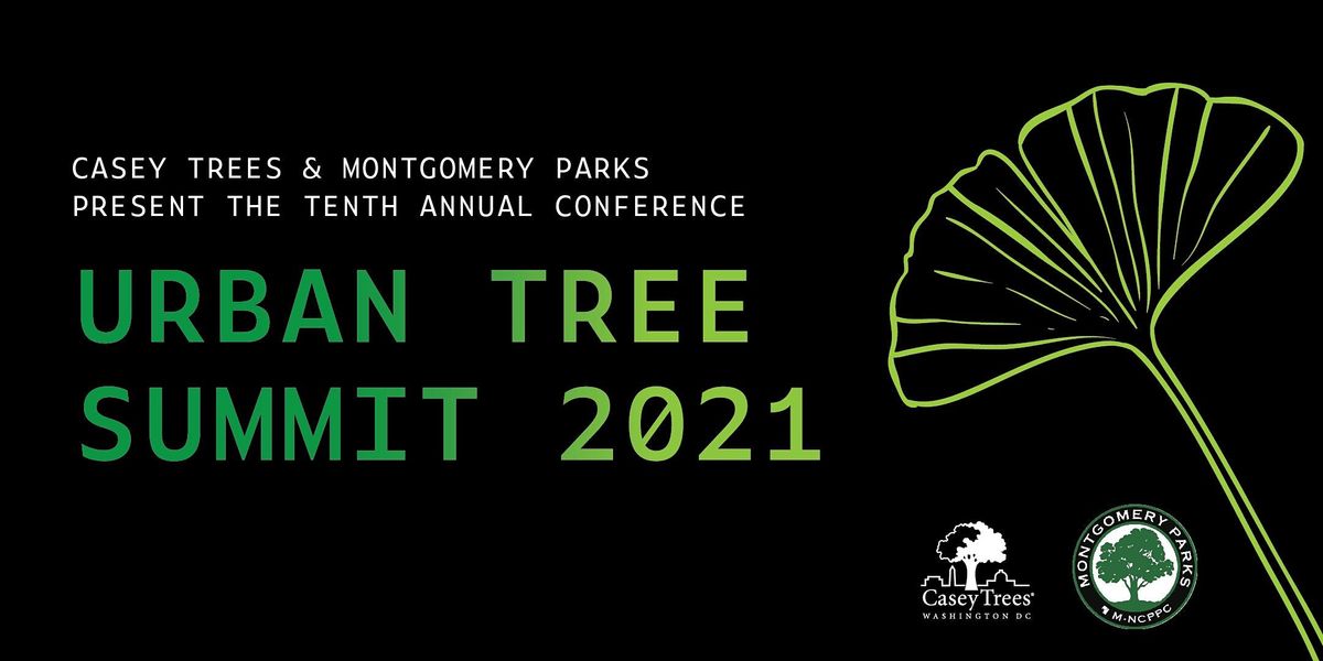 Urban Tree Summit