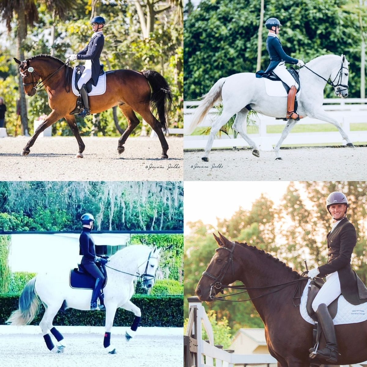 Stephen Hayes Dressage Clinic Day 2!