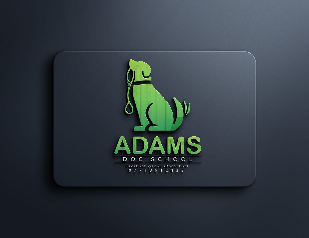 Adams Dog School Recall Workshop