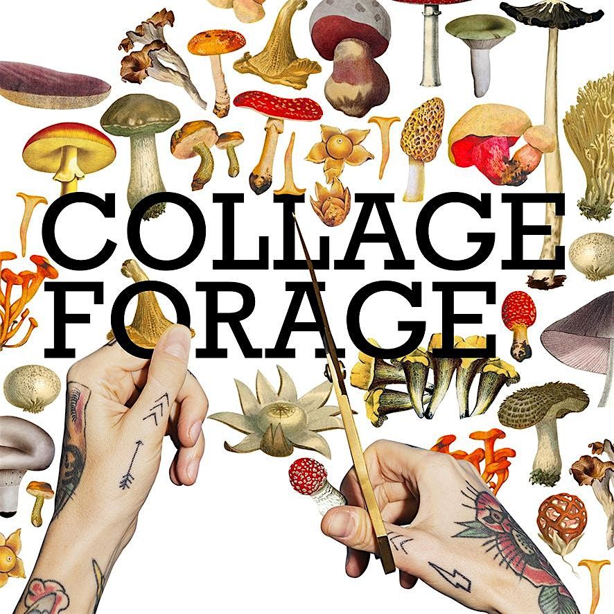 Collage Forage @ The Palace Hotel