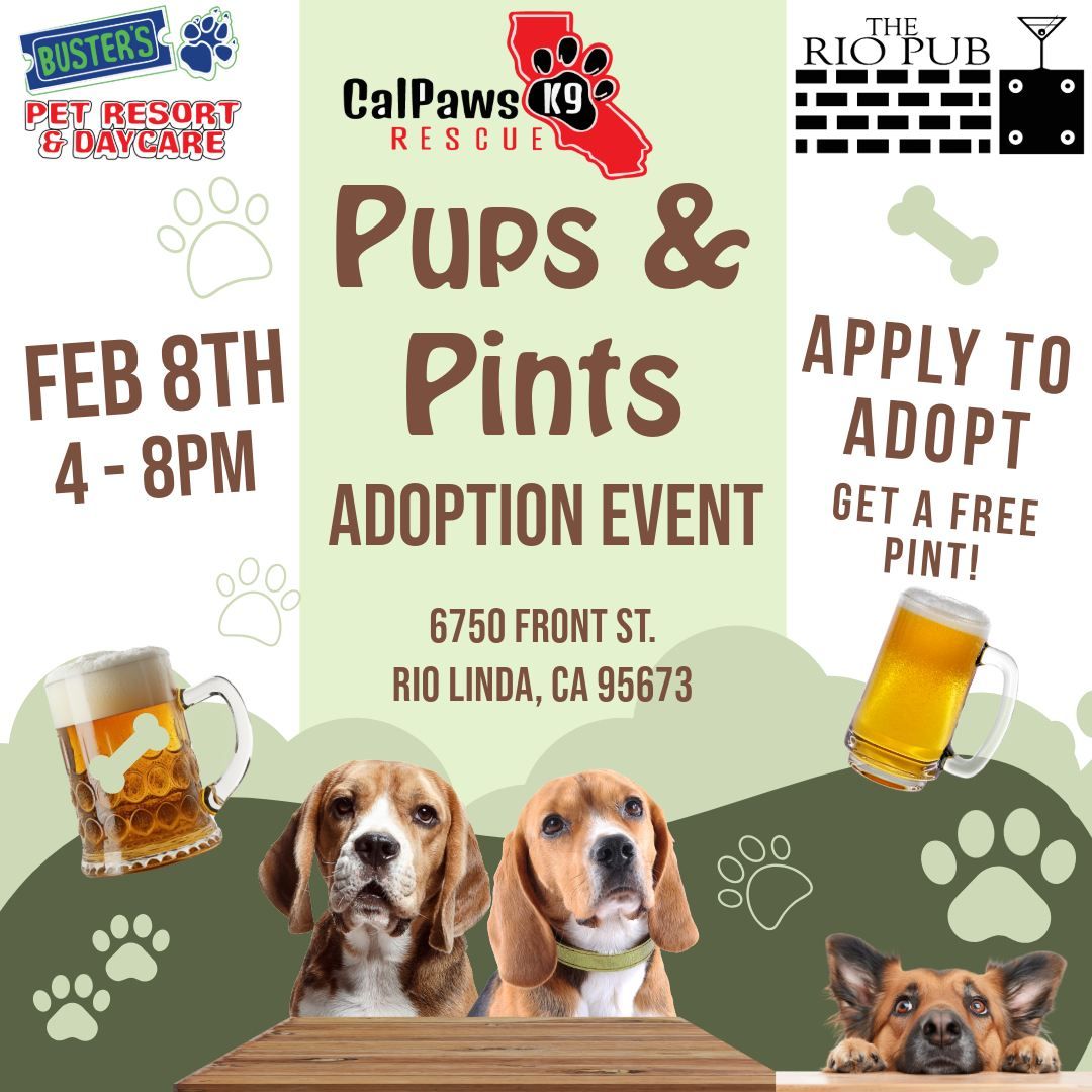 Pups & Pints Adoption Event