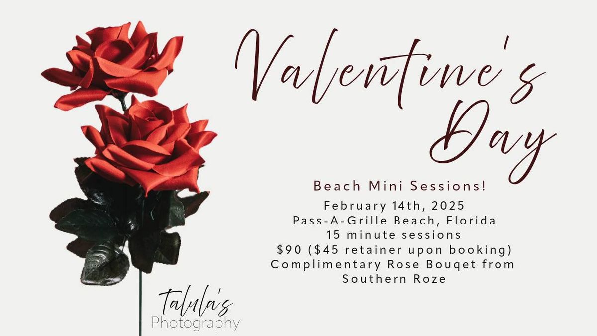 Valentine's Day Beach Mini Sessions