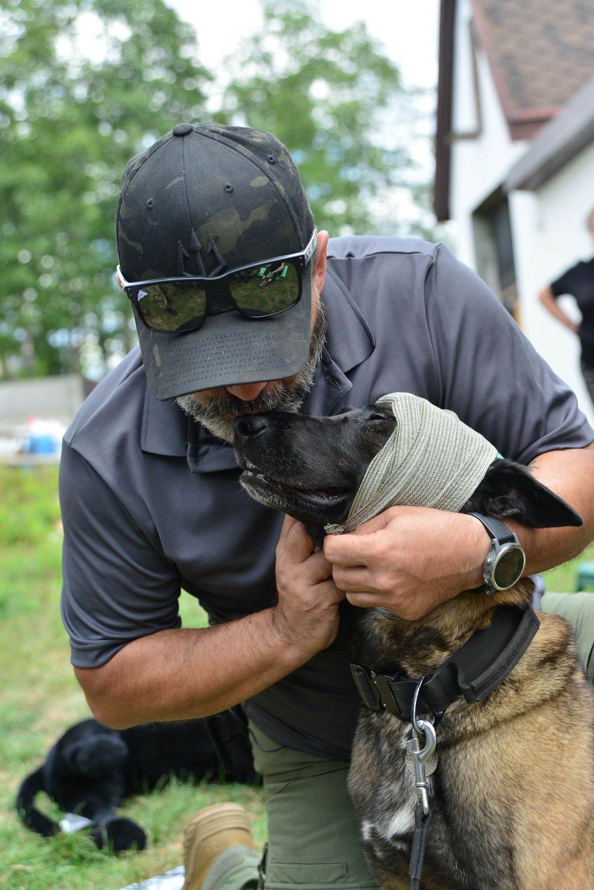 K9 First Aid