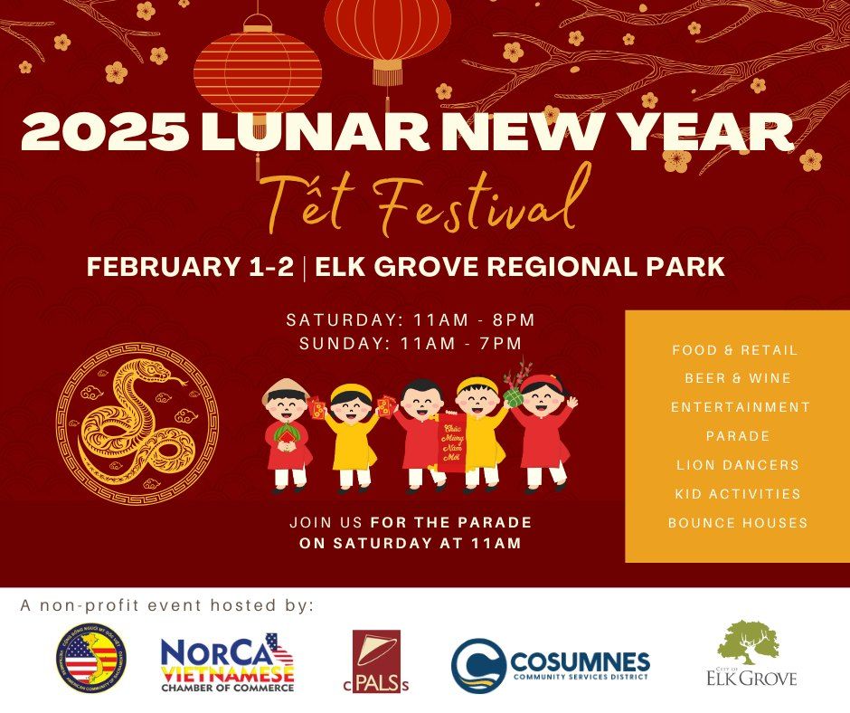 2025 Lunar New Year Festival