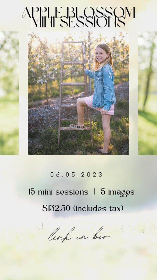 Apple Blossom Mini Sessions at Irishview Estate