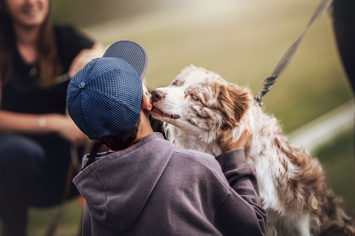 II. ro\u010dn\u00edk Doggoland Day Olomouc