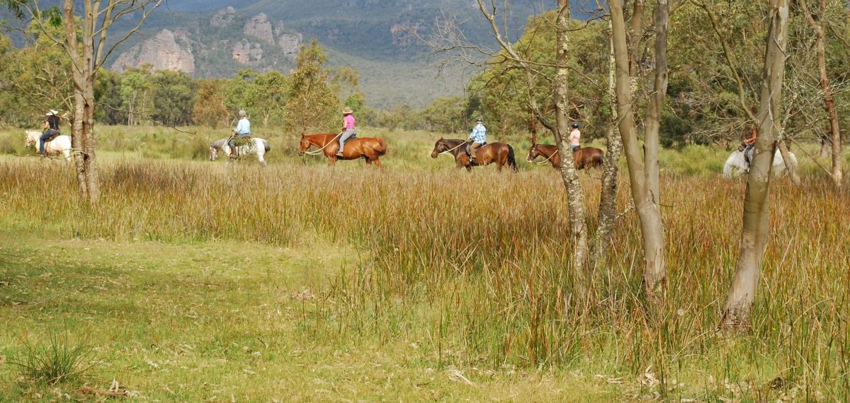 TRAIL RIDING & OBSTACLE TRAINIING CAMP 