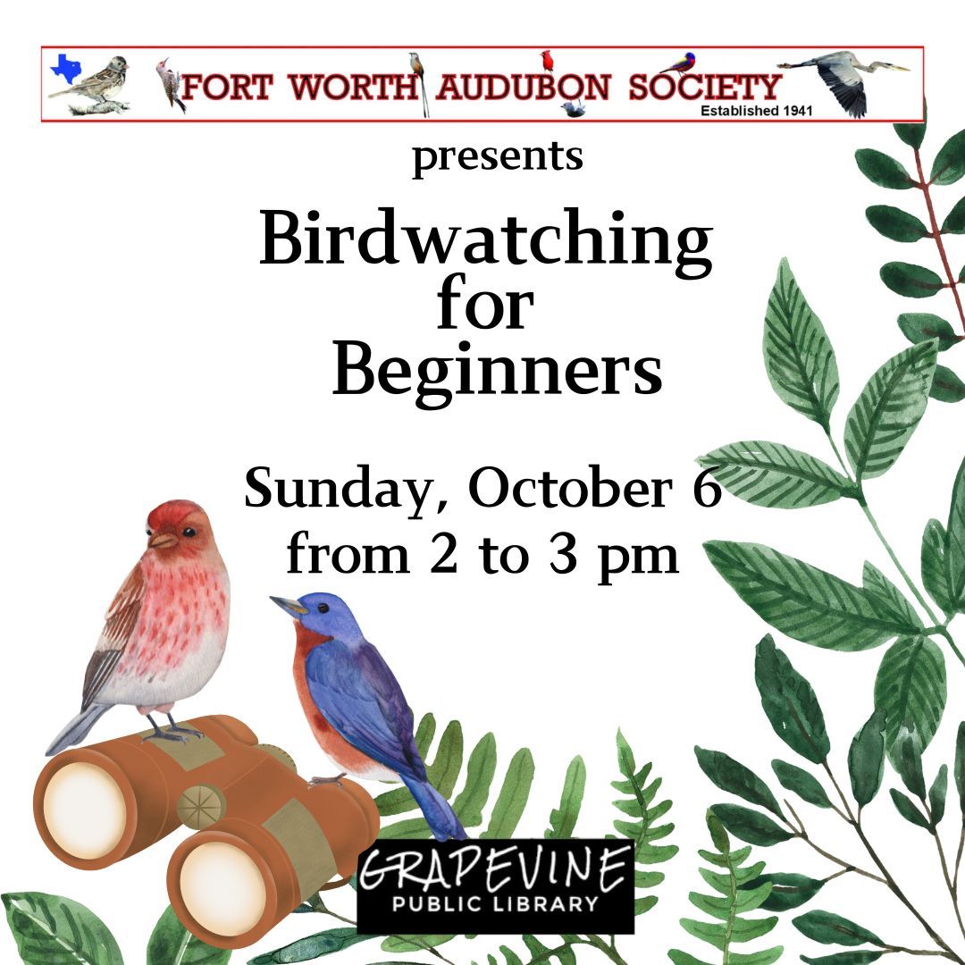 Birdwatching for Beginners