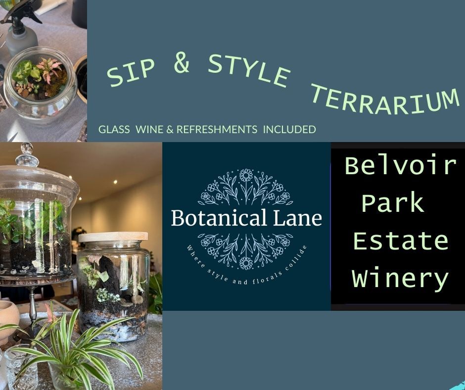 Sip & Style Terrarium for beginners Bendigo with wine and platters