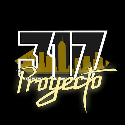 317 Proyecto
