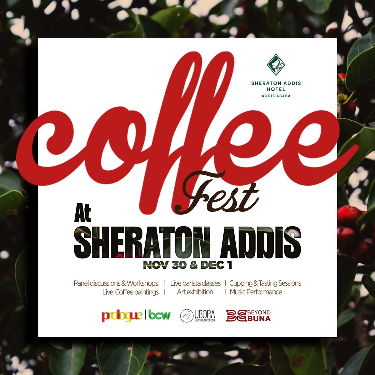 Ethiopian Coffee Festival 2024