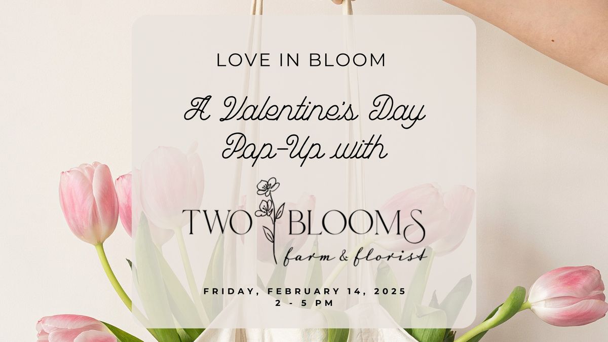 \ud83c\udf37 Love in Bloom: A Valentine's Day Tulip Pop-Up with Two Blooms Flower Farm! \ud83c\udf37