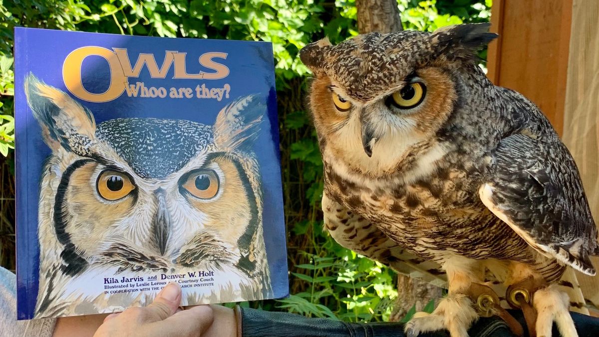 Reading with Raptors at the Herriman Library