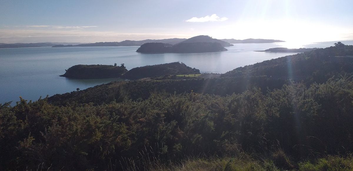 Auckland Mountain Bike Club Christmas Function \/ Funduro