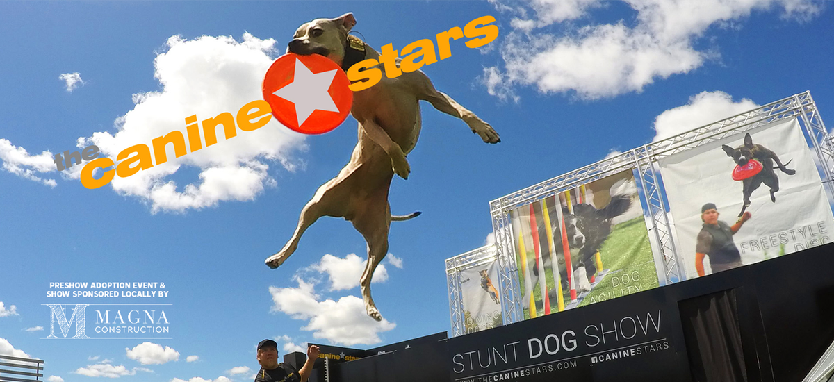 The Canine Stars Stunt Dog Show at Garde Arts Center