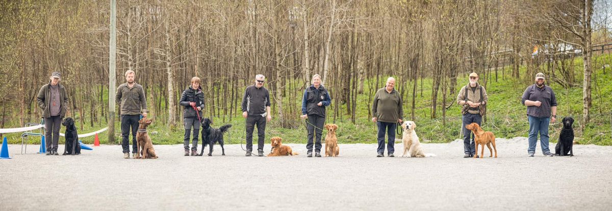 Rallylydighetskurs i klasse 1 og 2 med Elin Sparre Pedersen