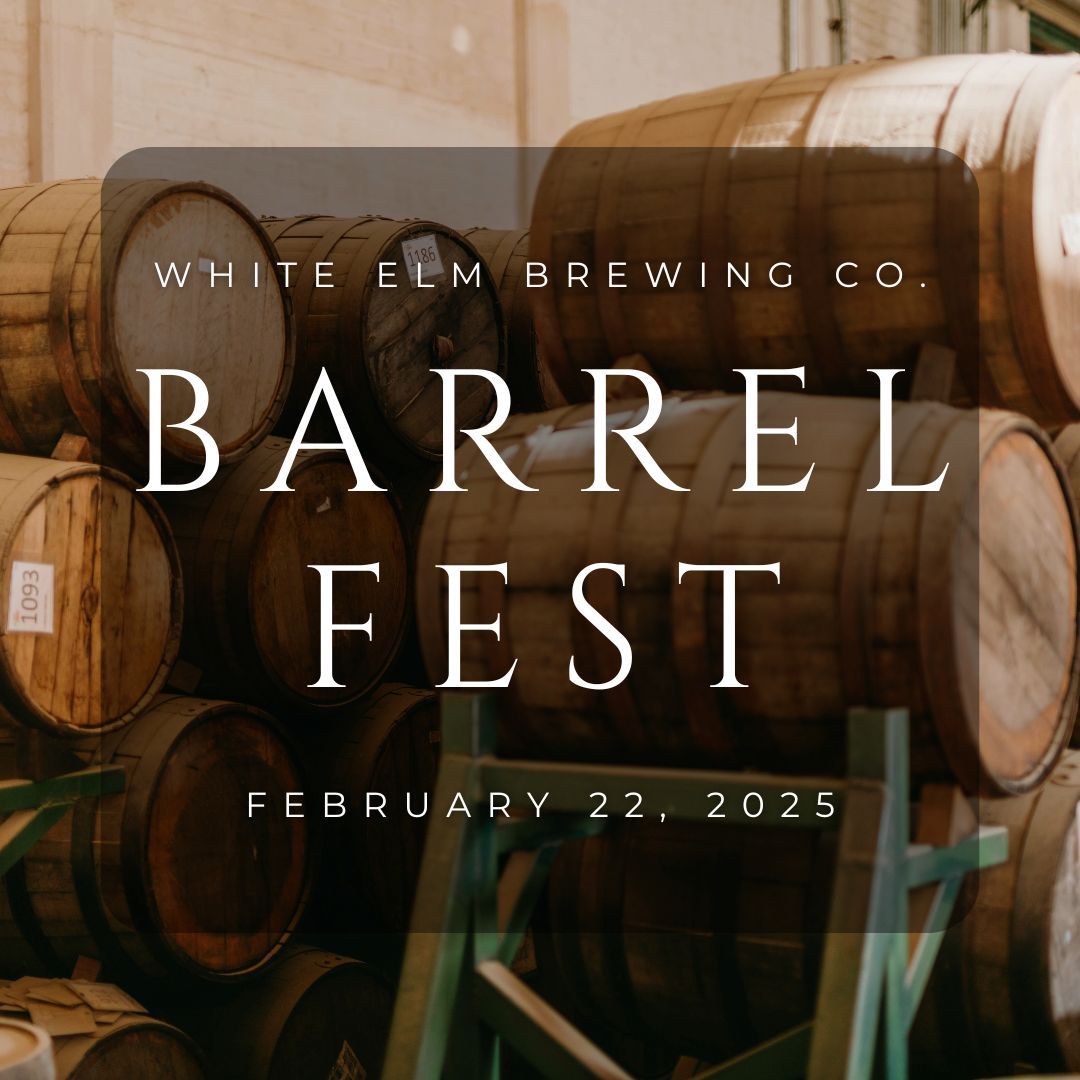 BARREL FEST \ud83c\udf7a\u2728\ud83c\udf89