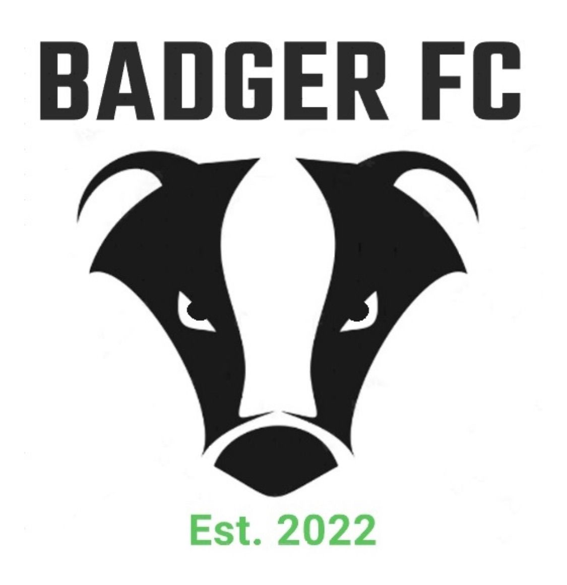 Badger FC vs Wingfield White Hart