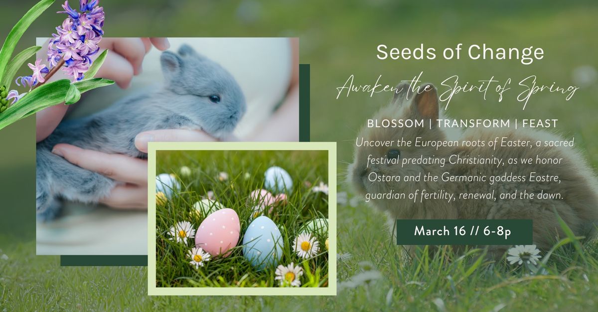 Seeds of Change: Awakening the Spirit of Spring