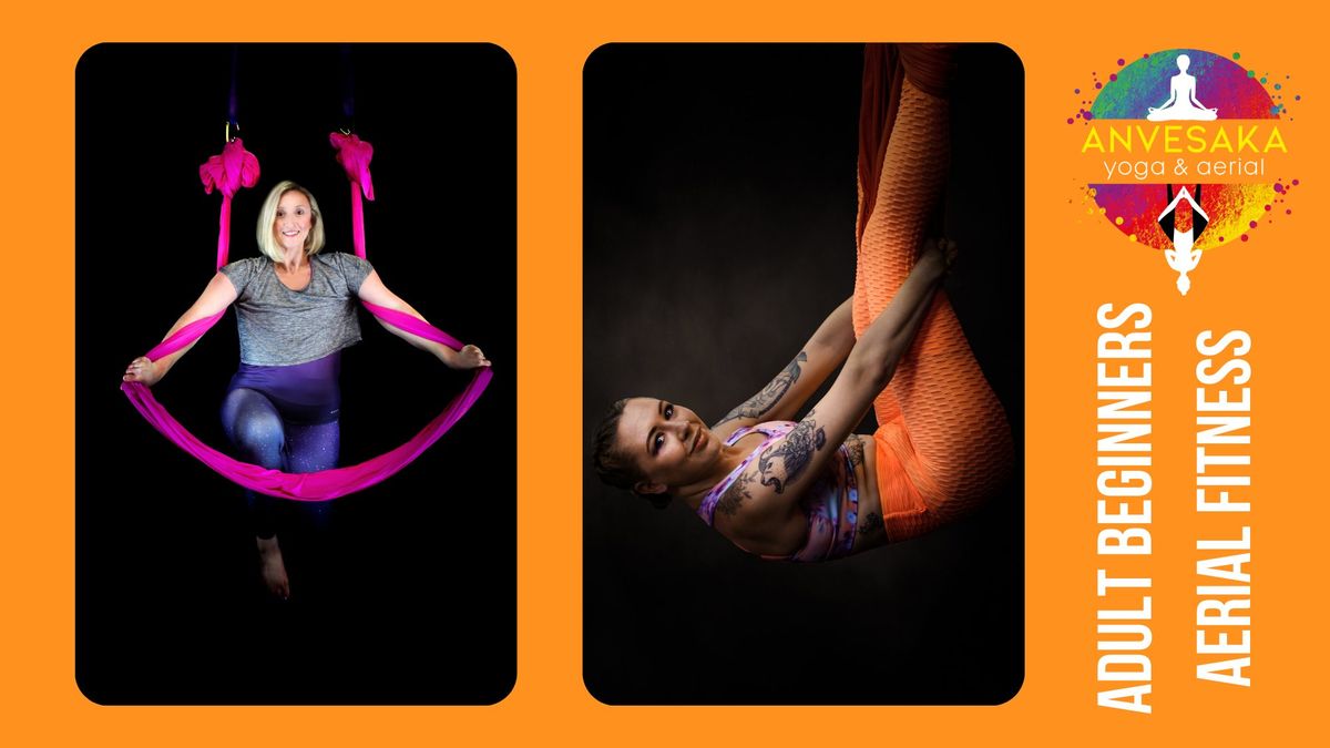 Stockton - Monday 11am Adult All Abilities Aerial Hammock Fitness