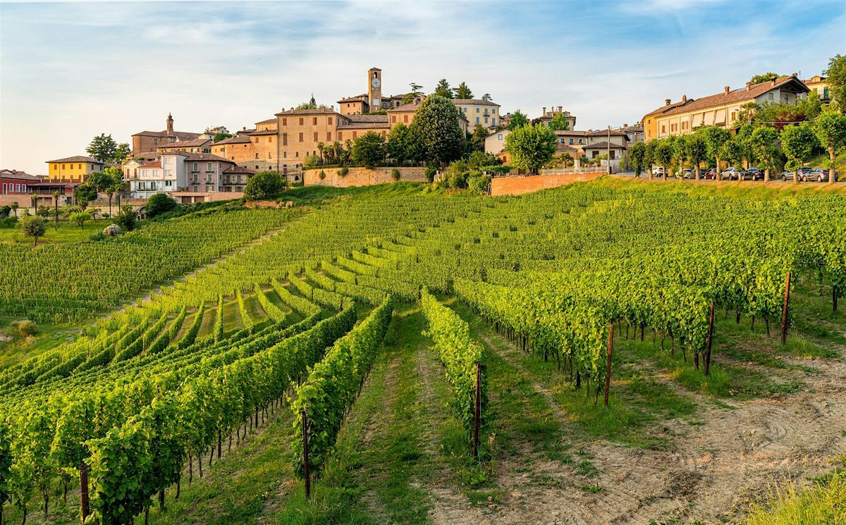 War, Wine and Survival in Piedmont