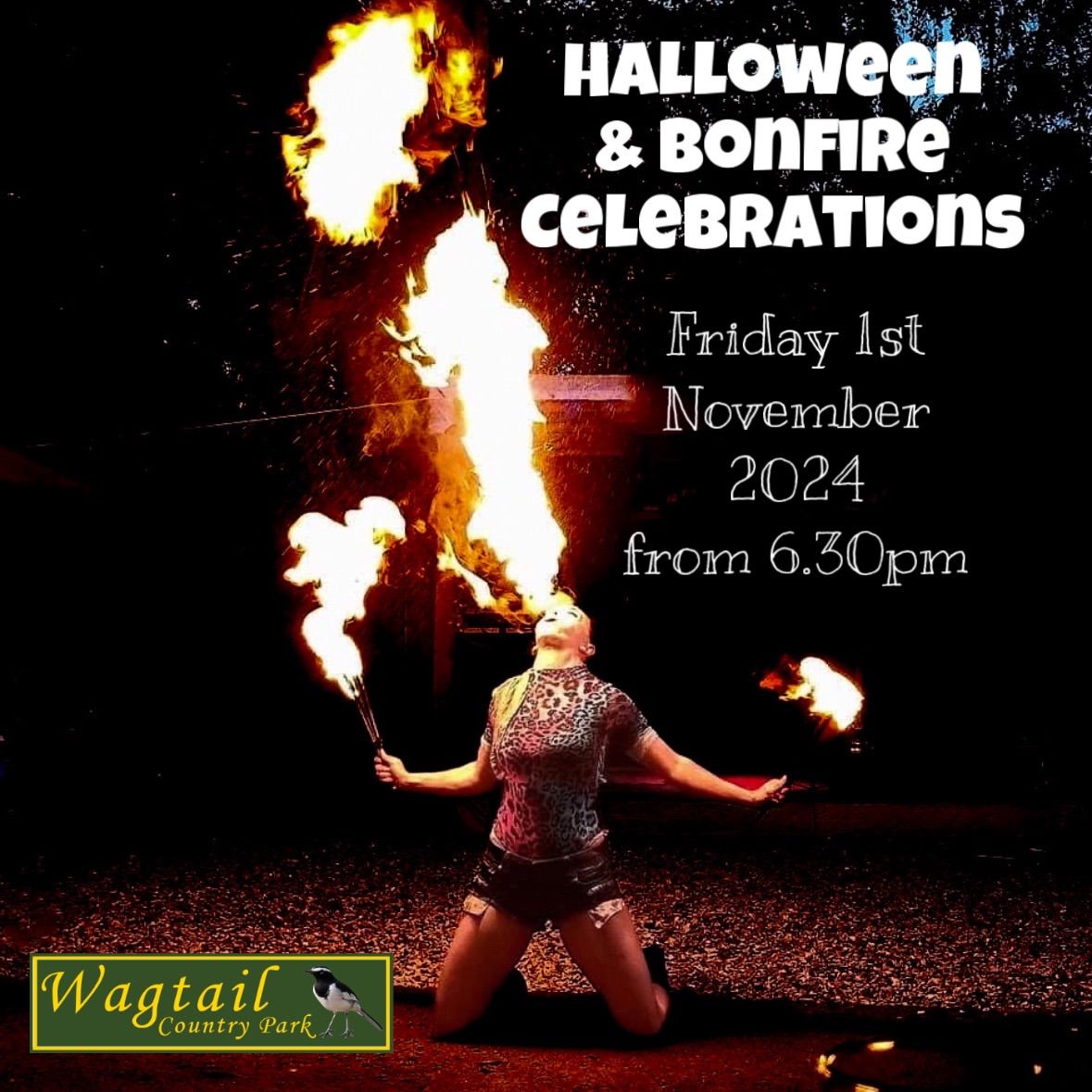 Halloween & Bonfire Celebrations