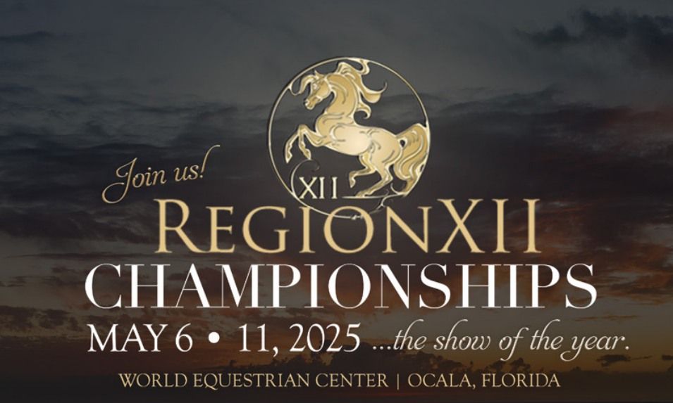 Region XII Arabian & Half Arabian Championships