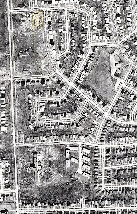 Rexdale: A Melting Pot of Cultures