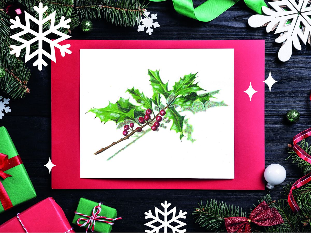 Darlunio Botanegol Nadolig | Christmas Botanical Illustration