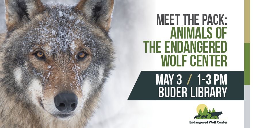 Meet the Pack: Animals of the Endangered Wolf Center