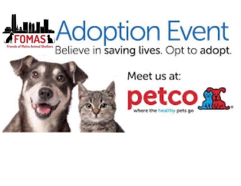 Adoption Outreach Event