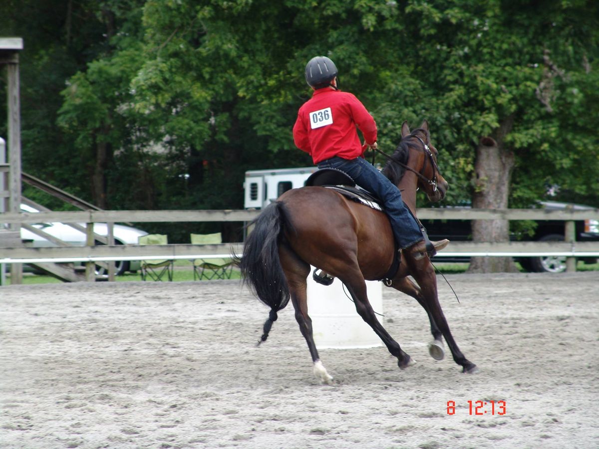 Howard County Fair Show - All Breed welcome @ Arabian Classes - Paybacks