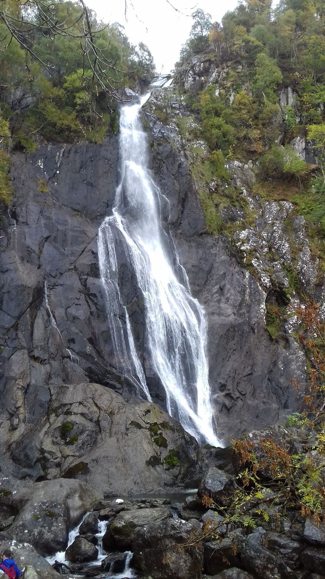 Two waterfalls wildlife walk